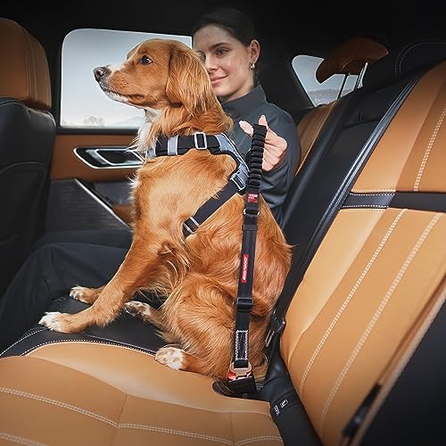 EzyDog Zero Shock Click - Bungee Dog Seat Belt Car Restraint - 20in - 26in