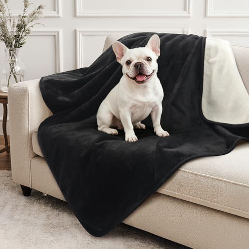 LOOBANI Waterproof Dog Blanket for Small Dogs, Pet Blanket 30" x 40", Black