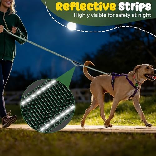 Heavy Duty Dog Leash with Easy Lock Metal Clip, Reflective, Padded Handle - Durable 6ft Walking Training Green Leash for Large, Medium, Small Dogs, Jogging, Hiking, and Outdoor Use