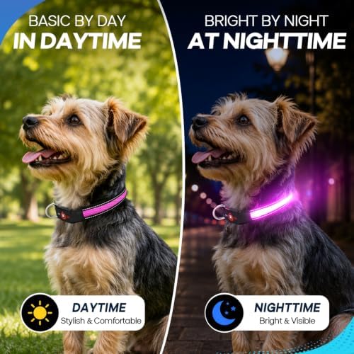 Light Up Dog Collar for Small Dogs, Super Bright Glow Collar, Pink