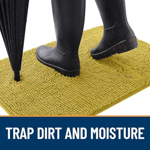 OLANLY Dog Door Mat for Muddy Paws 24x16, Super Absorbent Chenille Mud Mat
