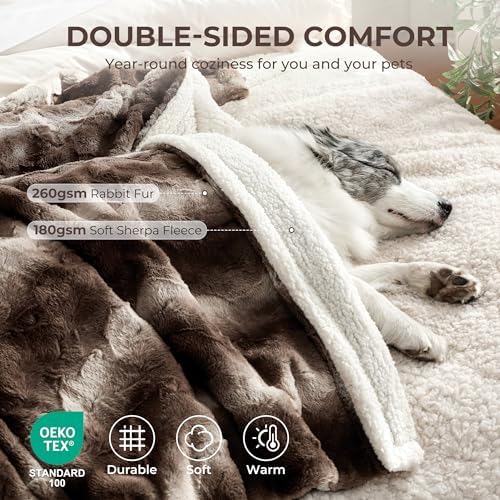 Waterproof Dog Blanket for Small Dogs, Dual-Sided Soft Pet Calming Blanket for Couch, Cozy Puppy Cat Blanket Fleece Washable, Reversible Throw Blanket for Furniture Protection, 25"x35", Brown