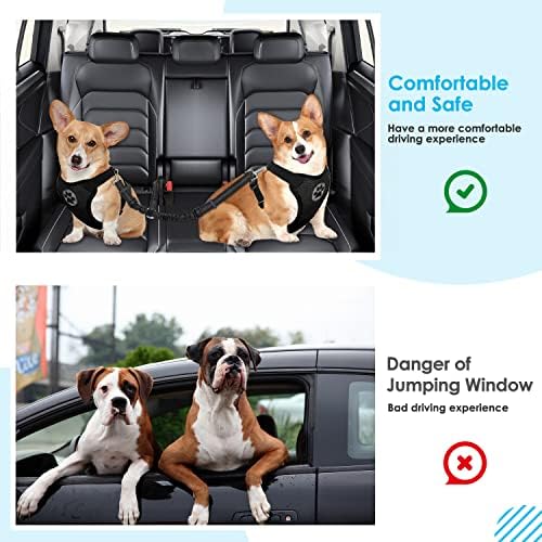 SlowTon Double Dog Seat Belt for Car with Elastic Bungee Buffer, Adjustable