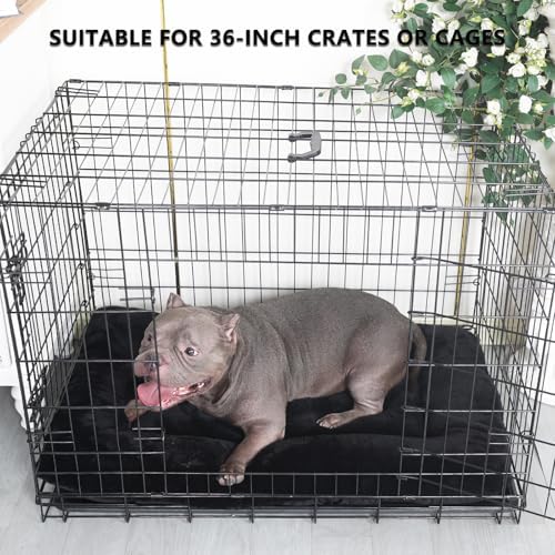 36x23 Dog Crate Bed for Medium Large Dogs Washable,Dog Bed for Crate 36 Inch Fits Dogs Breeds Up to 50 Lbs,Ultra Soft Pet Mattress Pad for Cozy Sleeping Mat with Anti-Slip Bottom,Black