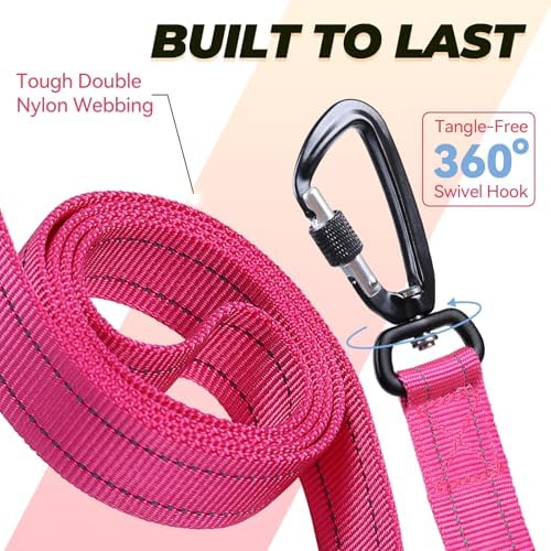 VIVAGLORY Double Handle Dog Leash Twingrip, 4ft x 1in, Pink-Carabiner
