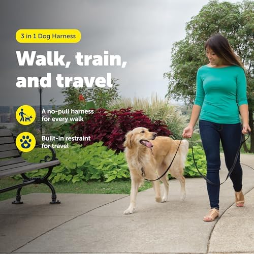 PetSafe 3 in 1 No-Pull Dog Harness - Walk, Train or Travel - Helps Prevent Pets from Pulling on Walks - Seatbelt Loop Doubles as Quick Access Handle - Reflective Accents - Large, Black