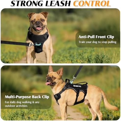 WINSEE Escape Proof Dog Harness with Double Handle+4 Removable Patches