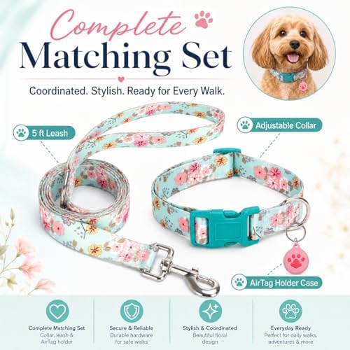 Floral Matching Dog Collar and Leash Set with AirTag Holder-Lily Daisy/XS