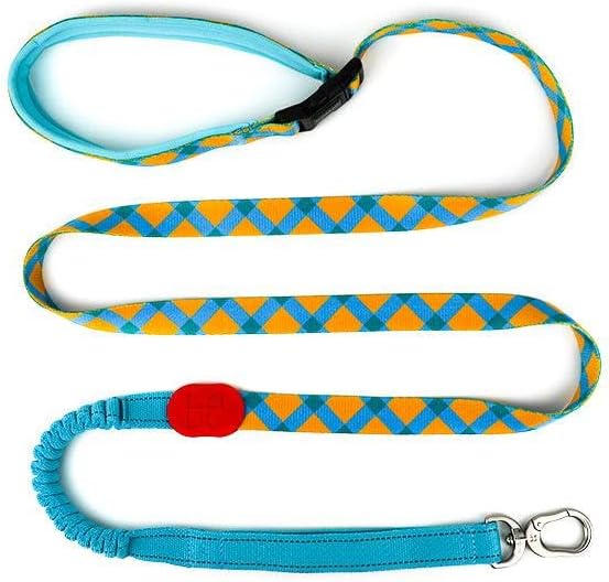 Adjustable Stretch Dog Leash - 3 in 1 Hands Free (Sunrise)