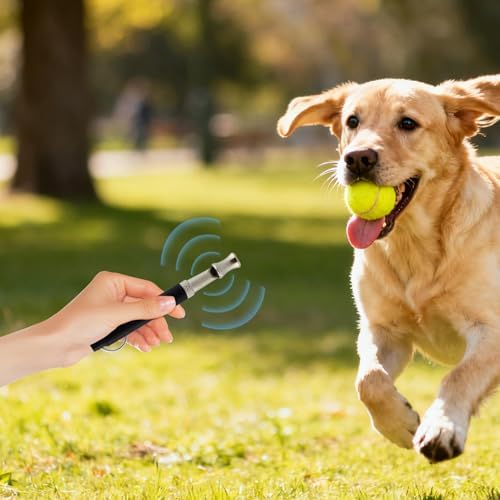 Dog Whistle, Chrome Training Whistle 20kHz Long Range Pet Trainer