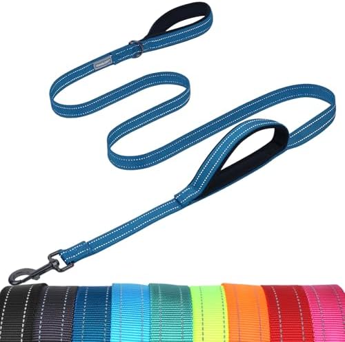 VIVAGLORY Double Handle Dog Leash Twingrip, 5ft x 1in, Navy