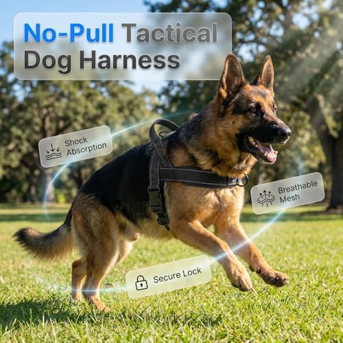No-Pull Dog Harness with Handle, Adjustable Reflective Pet Vest Tactical Harness for Small Medium Large Dogs Walking Training, Front Clip, Escape Proof & Heavy Duty D-Ring (Green, S)