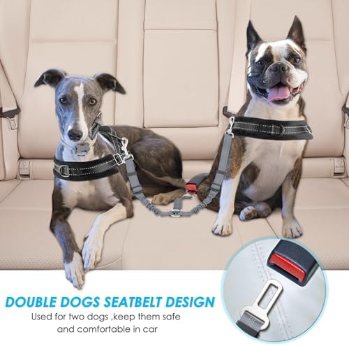 SlowTon Double Dog Seat Belt for Car with Elastic Bungee Buffer, Adjustable