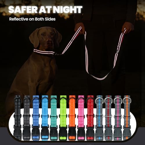 VIVAGLORY Double Handle Dog Leash Twingrip, 5ft x 1in, L, Black