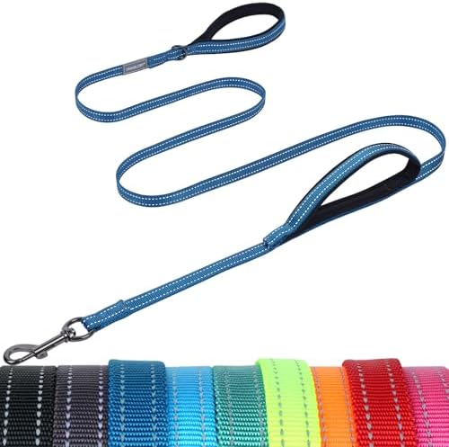 VIVAGLORY Double Handle Dog Leash Twingrip, 4ft x 1/2in, Navy