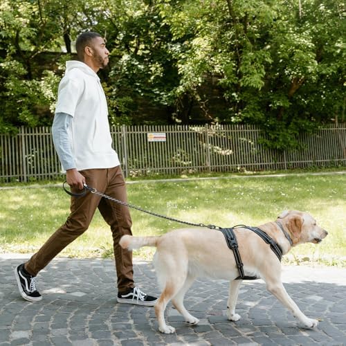 Chain Dog Leash, Bite-Proof Metal Leash, with Padded Handle，Black