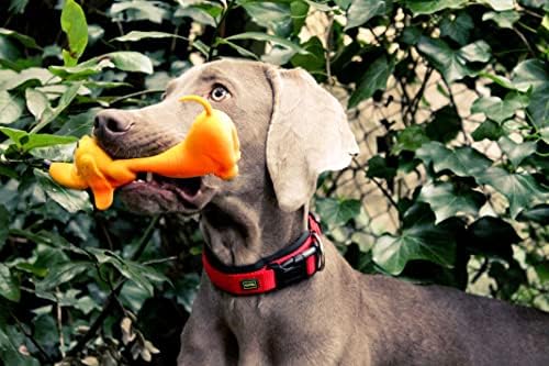 Lanco 8424678012103 Large Basset, 100% Natural Rubber