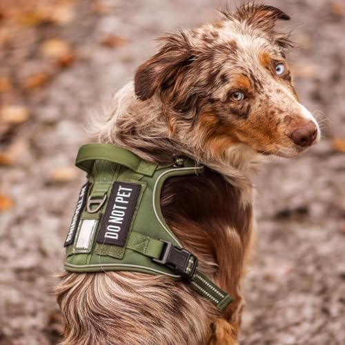 rabbitgoo Tactical Dog Harness for Large Dogs, No Pull Service Pet Vest