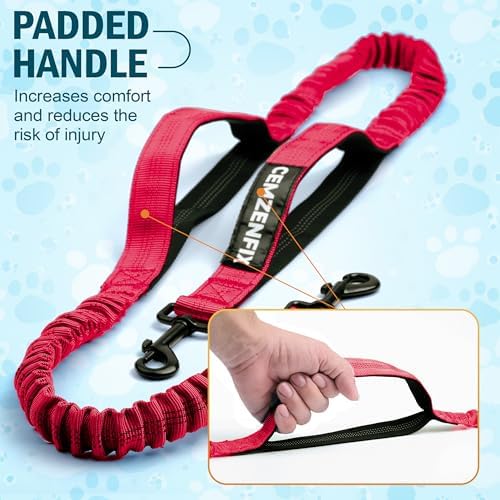Hands Free Dog Leash for 2 Dogs – Waist Leash for Dog Walking with Dual Bungee, Reflective No Pull Design, Adjustable Belt & Pouch for Running, Hiking, Jogging
