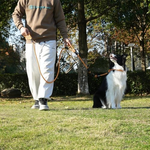 Rope Dog Leash with Two Handles, 6 Foot Heavy Duty Dog Leash with Aviation Aluminum Auto Locking Carabiner, Strong Nylon Pet Lead for Small, Medium, Large Dogs (Yellow, 6FT-Two Handle)