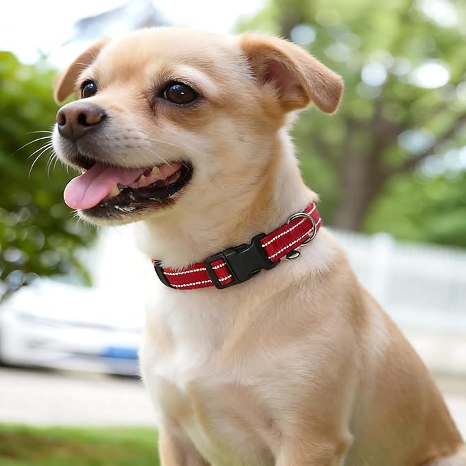 Reflective Nylon Dog Collar for Medium Dogs,Neoprene Padding,Red