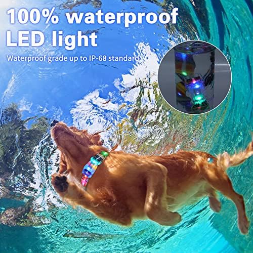 Light Up Dog Collars,LED Dog Collar Rechargeable Waterproof,2-in-1 Buckle Type Glow Collar for Medium Large Dogs- M(10-17 * 0.98 inch can be Crop)