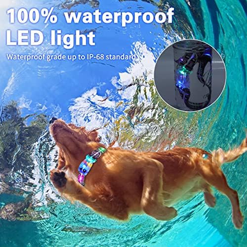 2Pcs Light Up Dog Collars,LED Dog Collar Rechargeable Waterproof,2-in-1 Buckle Type Glow Collar for Medium Large Dogs- ML(Neck:15-25",Strap Width:1")