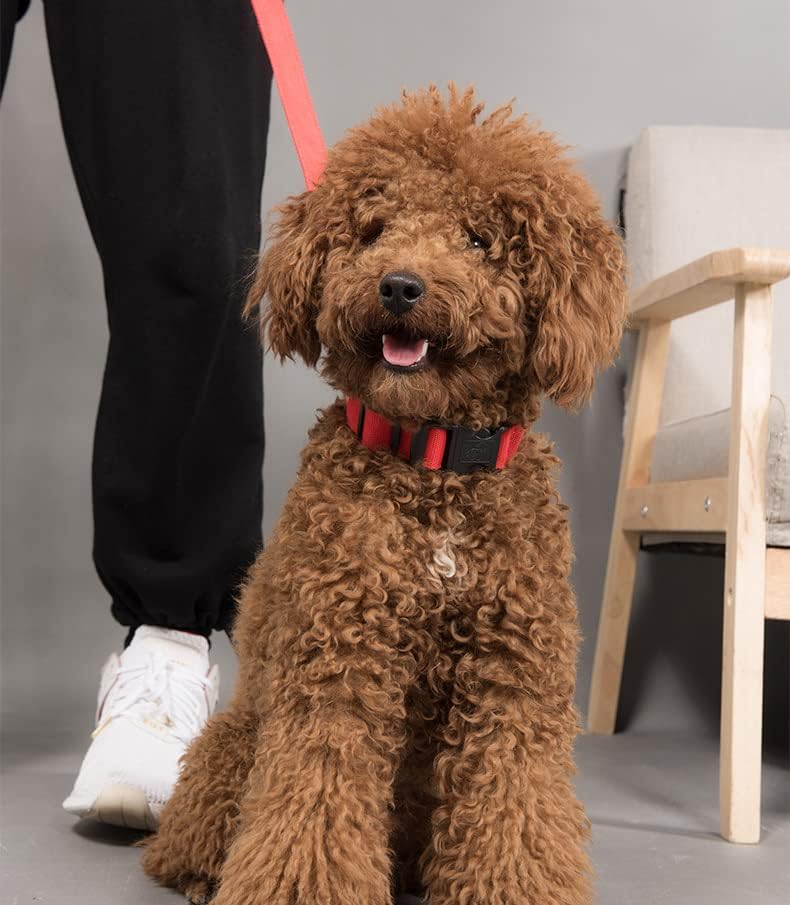A4DOG Comfortable Reflective Dog Collar for Large Dogs, Soft Padded Neoprene Dog Collar, Padded Dog Collar Small, Breathable Nylon Pet Collar Adjustable, 3 Sizes, 9 Colors