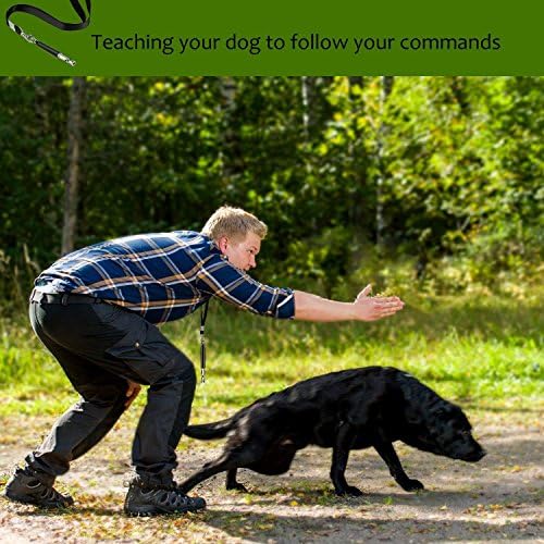 Dog Whistle to Stop Barking, Adjustable Pitch Ultrasonic Training Tool Silent Bark Control for Dogs-2 Free Lanyard Strap with Pack of 2 PCS Pet Whistle