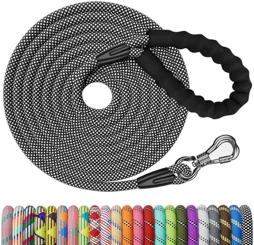 NTR 10FT Training Leash for Dog,Reflective Nylon Rope Lead with Swivel Lockable Hook and Comfortable Handle,Puppy Leash Lead for Small Medium Large Dogs Training,Playing,Camping,or Backyard