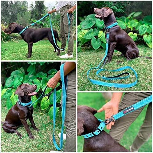 Tuff Pupper Heavy Duty Double Handle Leash | Twist Locking Carabiner Clip | Safety Lock for Strong Dogs | Reflective for Safe Night Walks | 6 Foot Leash | For Medium & Large Dogs
