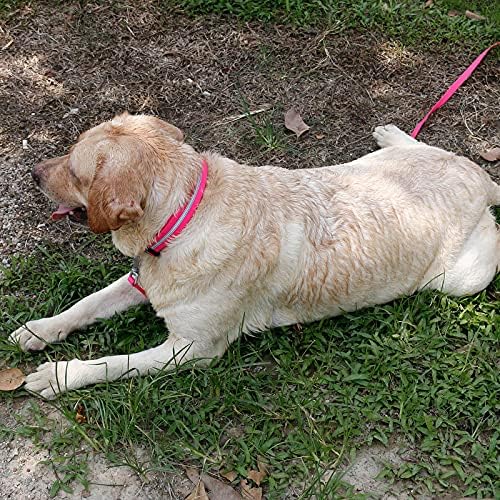 Nimble Reflective Waterproof Dog Collar Adjustable Odor Resistant Easy Clean Pet Collar for Small Medium Large Dogs Night Walking Outdoor Rainy Use (Small (9.45”-14.17”inches), Pink)