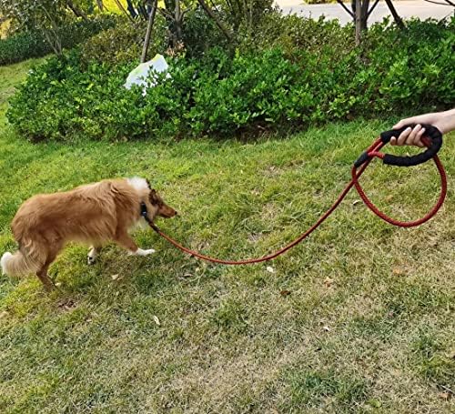 MayPaw Heavy Duty Rope Dog Leash, 3/4/6/7/8/10/12/15/20/30 FT Nylon Pet Leash, Soft Padded Handle Thick Lead Leashes for Large Medium Dogs (red Black, 1/2" * 10')