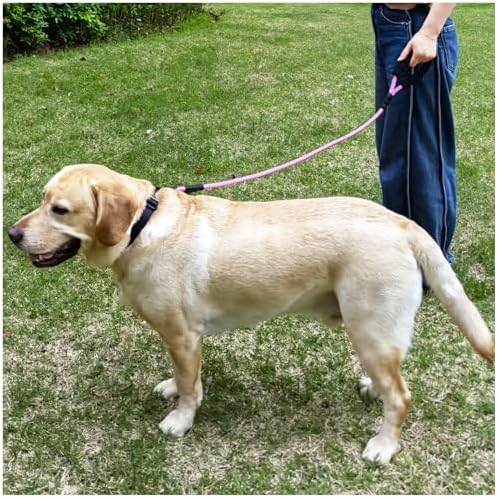 MayPaw 3FT Heavy Duty Rope Dog Leash, 6/8/10/12/15/20FT Nylon Pet Leash with Soft Padded Handle, Thick Lead Leashes for Large Medium Dogs Walking Training (Pink-Blue dot, 1/2" * 3')