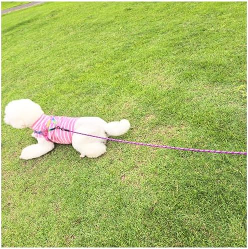 MayPaw 8ft Rope Dog Leash for Large Medium Dogs Soft Handle Dog Lead