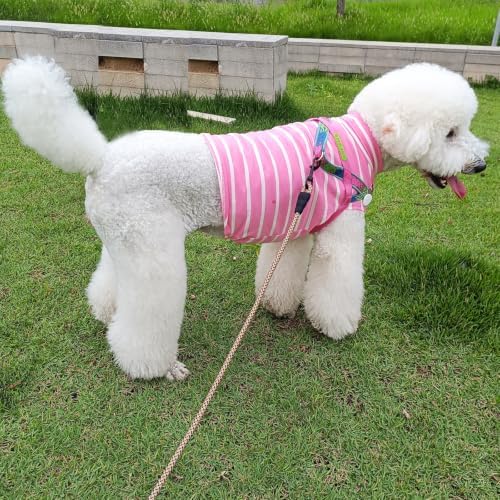 MayPaw 20ft Long Rope Dog Leash for Large Medium Dogs Soft Handle Dog Lead