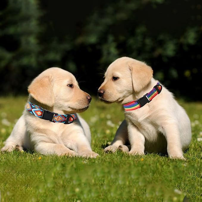 Dog Collar and Leash Set for Dogs Walking Bohemia Ethnic Style