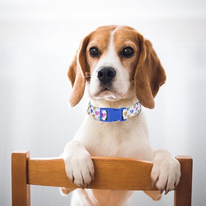 Adjustable Dog Collar with Safety Buckle Quick Release - Soft Nylon Pet Collars for Small, Medium, Large Puppies Dogs Collar Girls