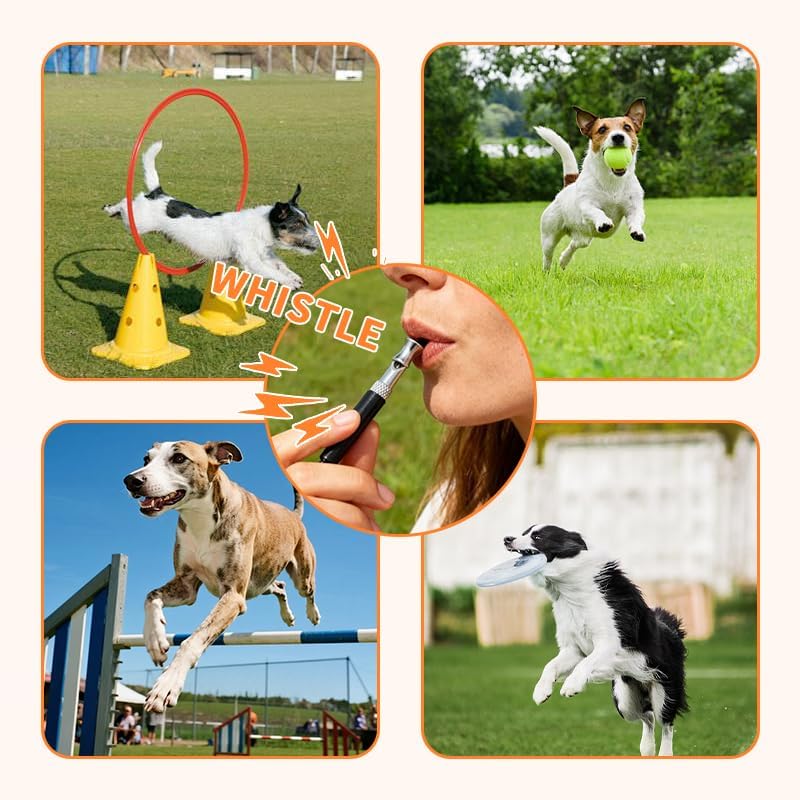 Dog Whistle, Adjustable Silent Training Whistle with Lanyard