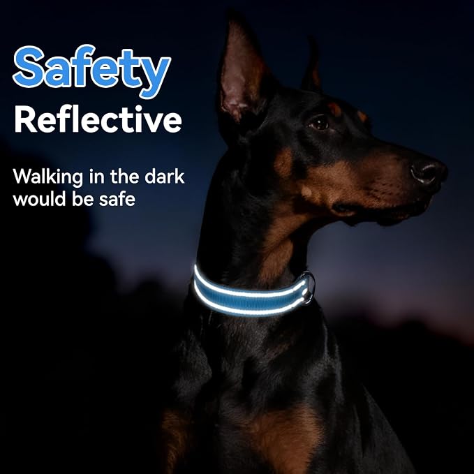 Reflective Dog Collar for Medium Dogs with Quick Release Buckle