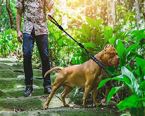 KRUZ Dog Leash (Width - 1/2”, Length - 20 INCH) Reflective Rope Lead with Soft Silicone Grip, Click & Lock Snap Lightweight Leash for Dogs, Durable & Tangle-Free For Walking, Running & Training - Blue