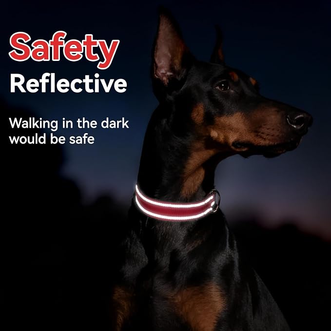 Reflective Dog Collar for Small Dogs with Quick Release Buckle