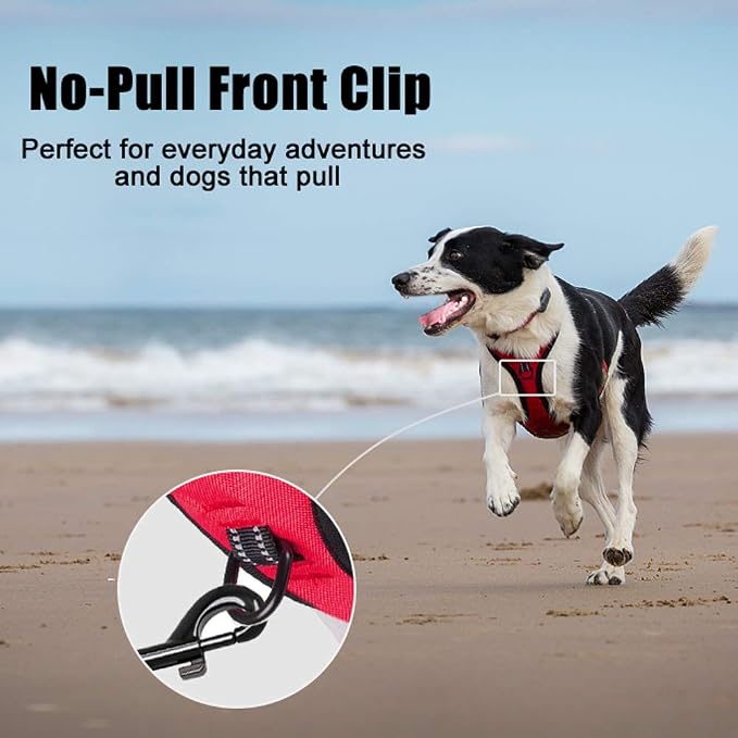 PoyPet No Pull Dog Harness Small, Reflective Vest with Front Clip & Handle