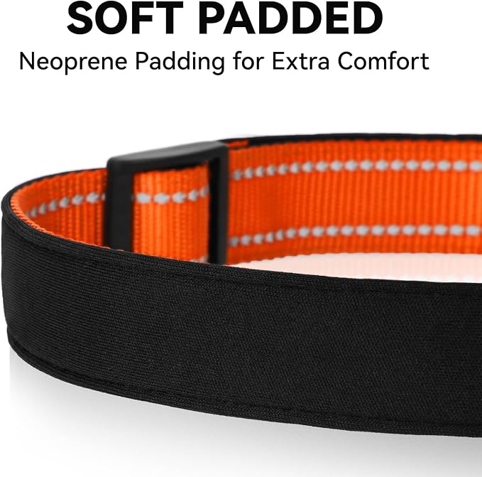 Reflective Dog Collar for Large Dogs with Quick Release Buckle