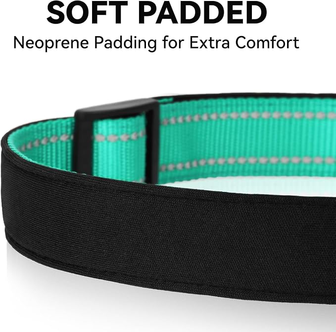 Reflective Dog Collar for Extra Small Dogs with Quick Release Buckle
