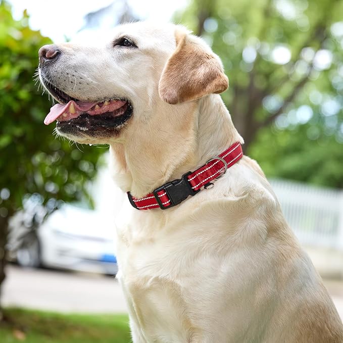 Reflective Nylon Dog Collar for Medium Dogs,Neoprene Padding,Red