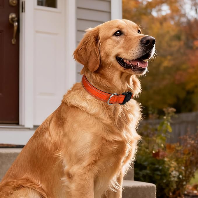 Reflective Dog Collar for Large Dogs with Quick Release Buckle