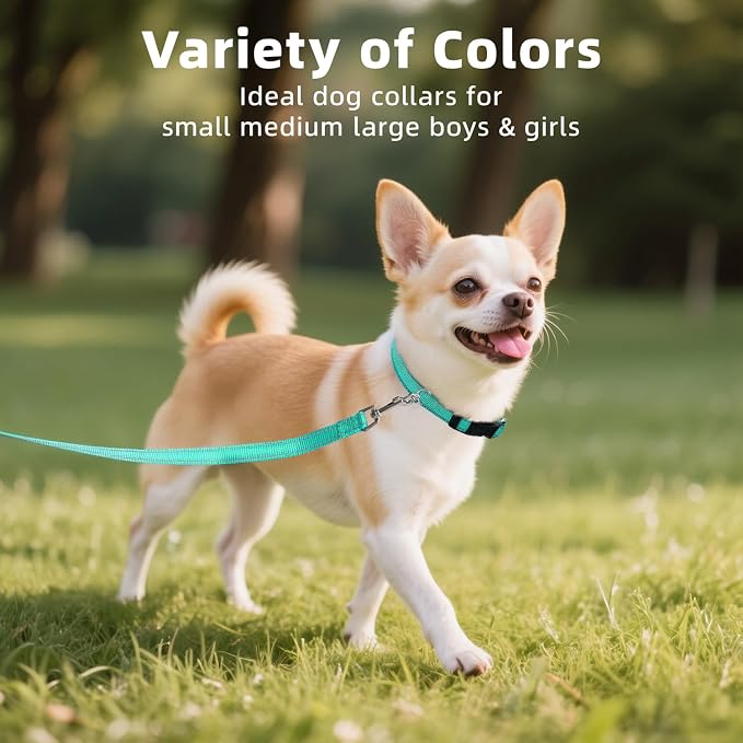 Reflective Dog Collar for Extra Small Dogs with Quick Release Buckle