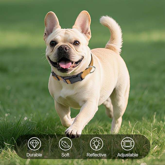 Reflective Dog Collar for Small Dogs with Quick Release Buckle