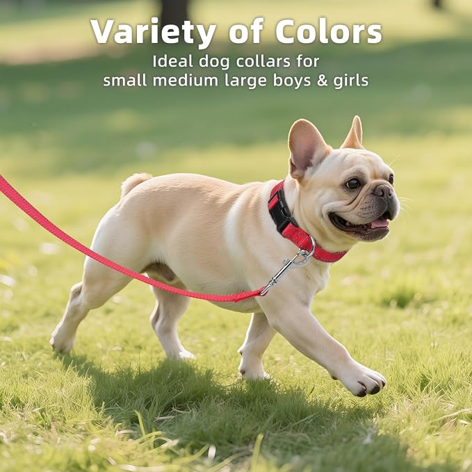 Reflective Dog Collar for Small Dogs with Quick Release Buckle